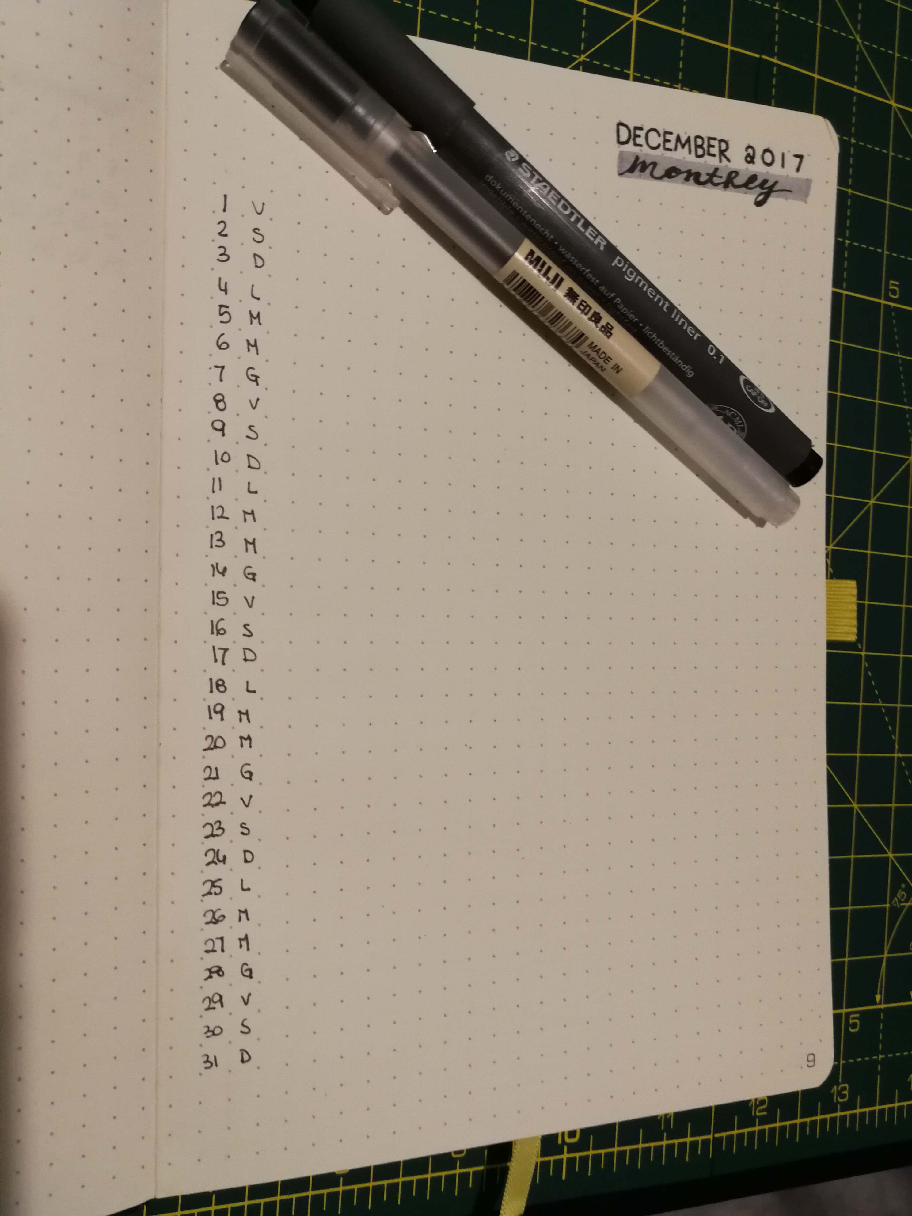 Bullet Journal: Monthly Log e Collections