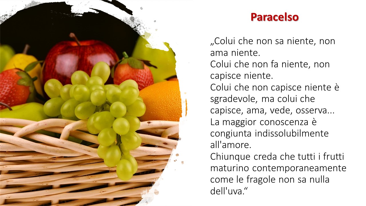 Paracelso