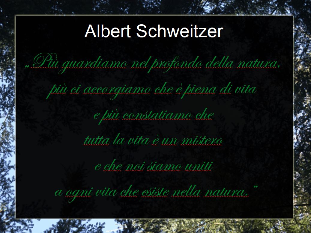 Albert Schweitzer