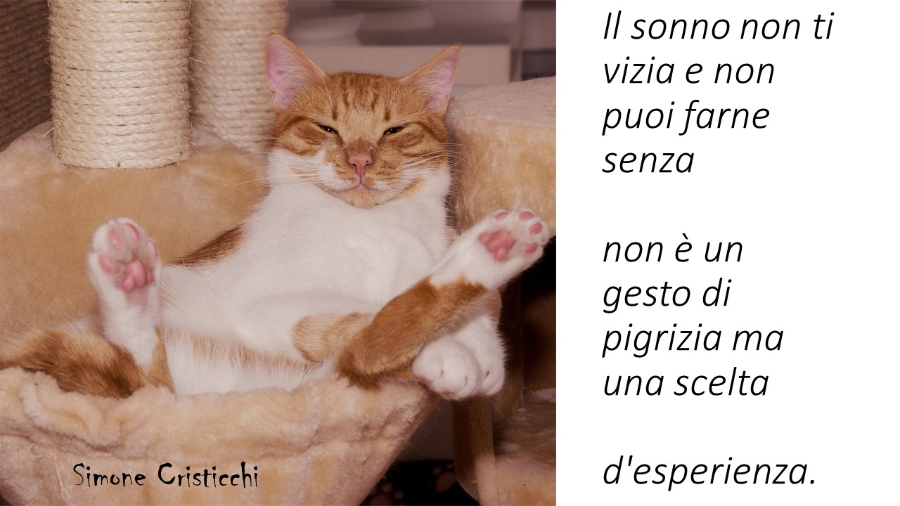 Simone Cristicchi