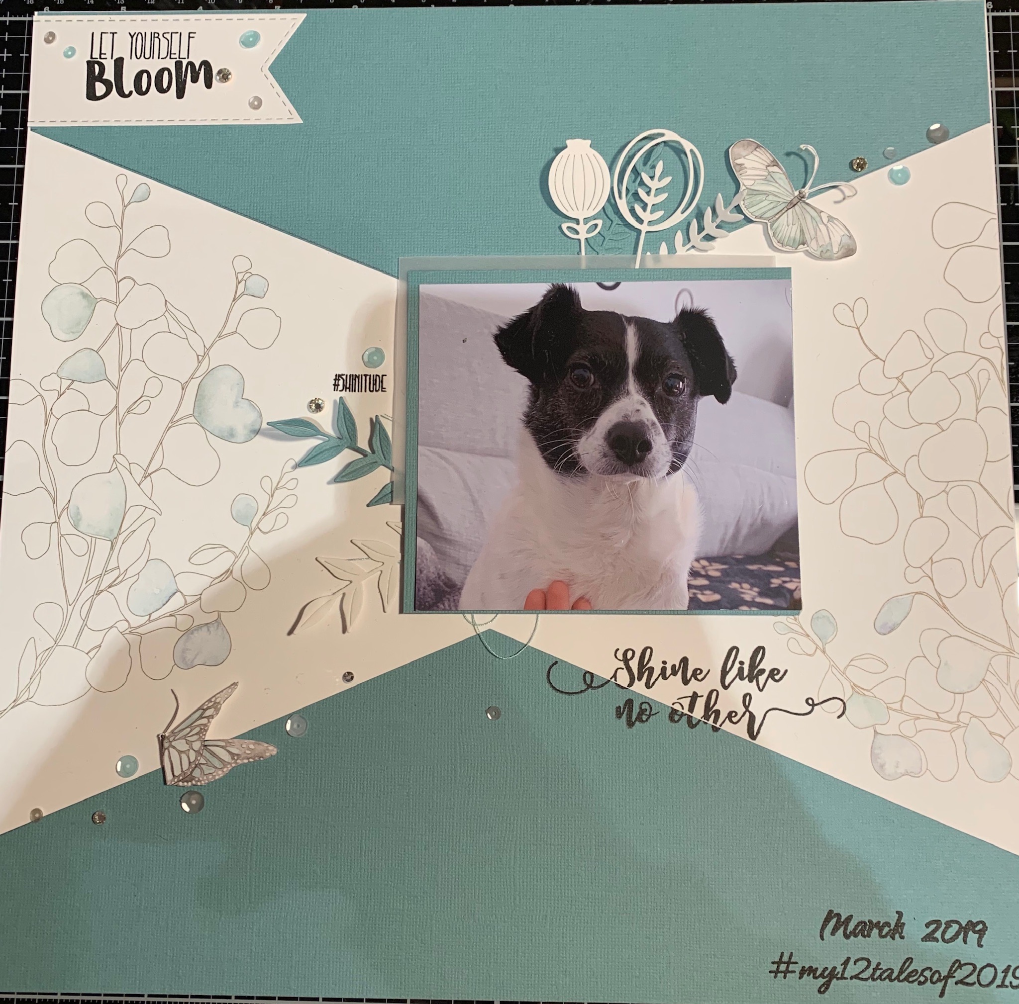 Layout Marzo