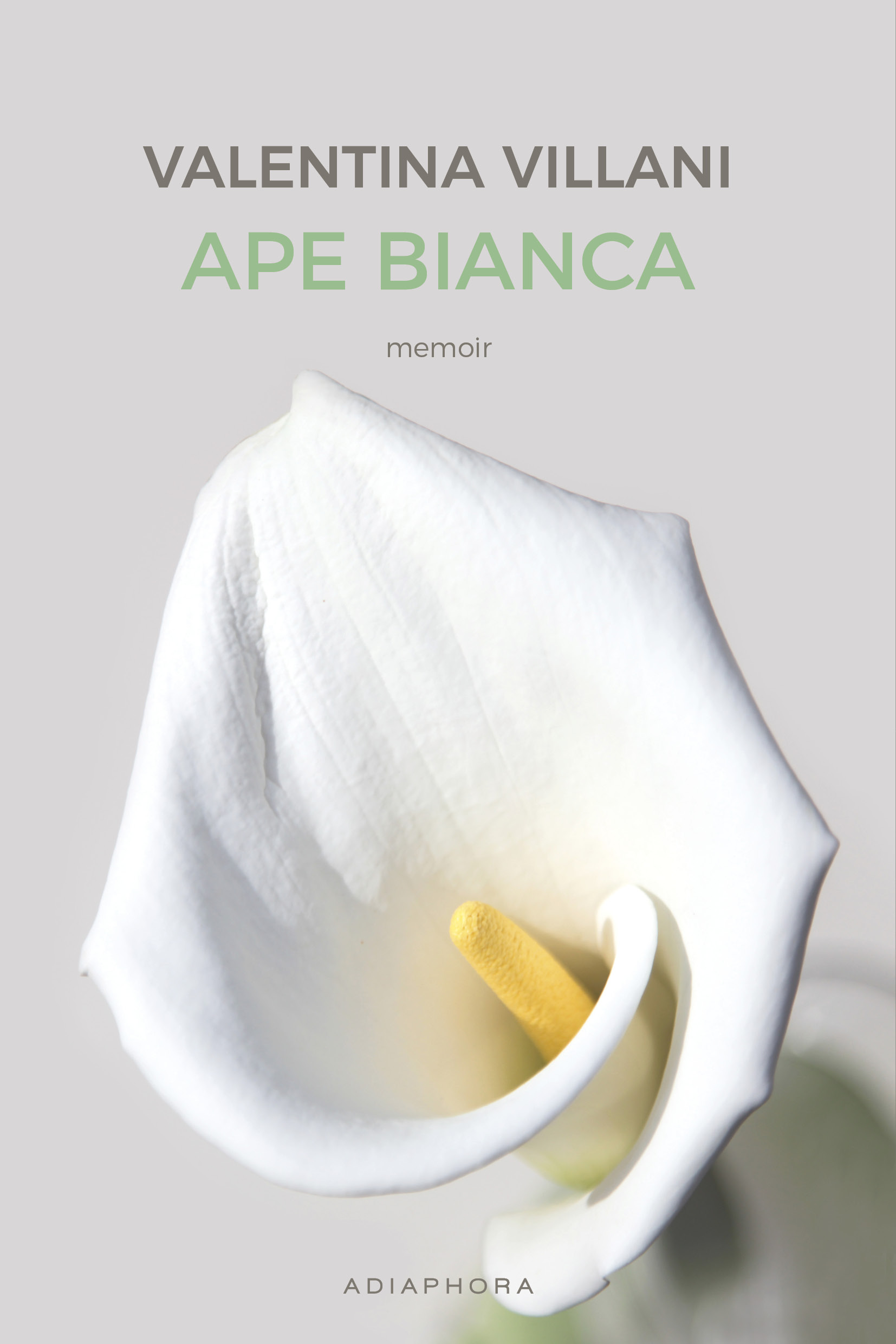 Recensione “Ape Bianca” di Valentina Villani