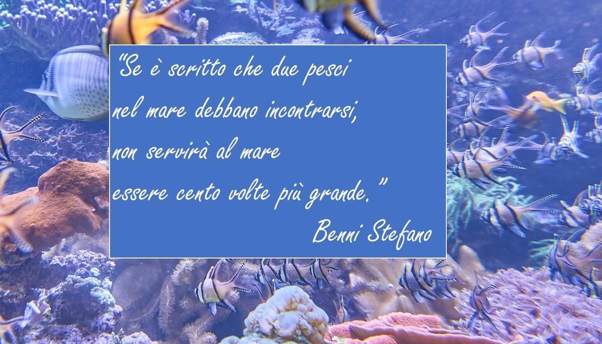 12 Agosto 2019 Benni Stefano (1)