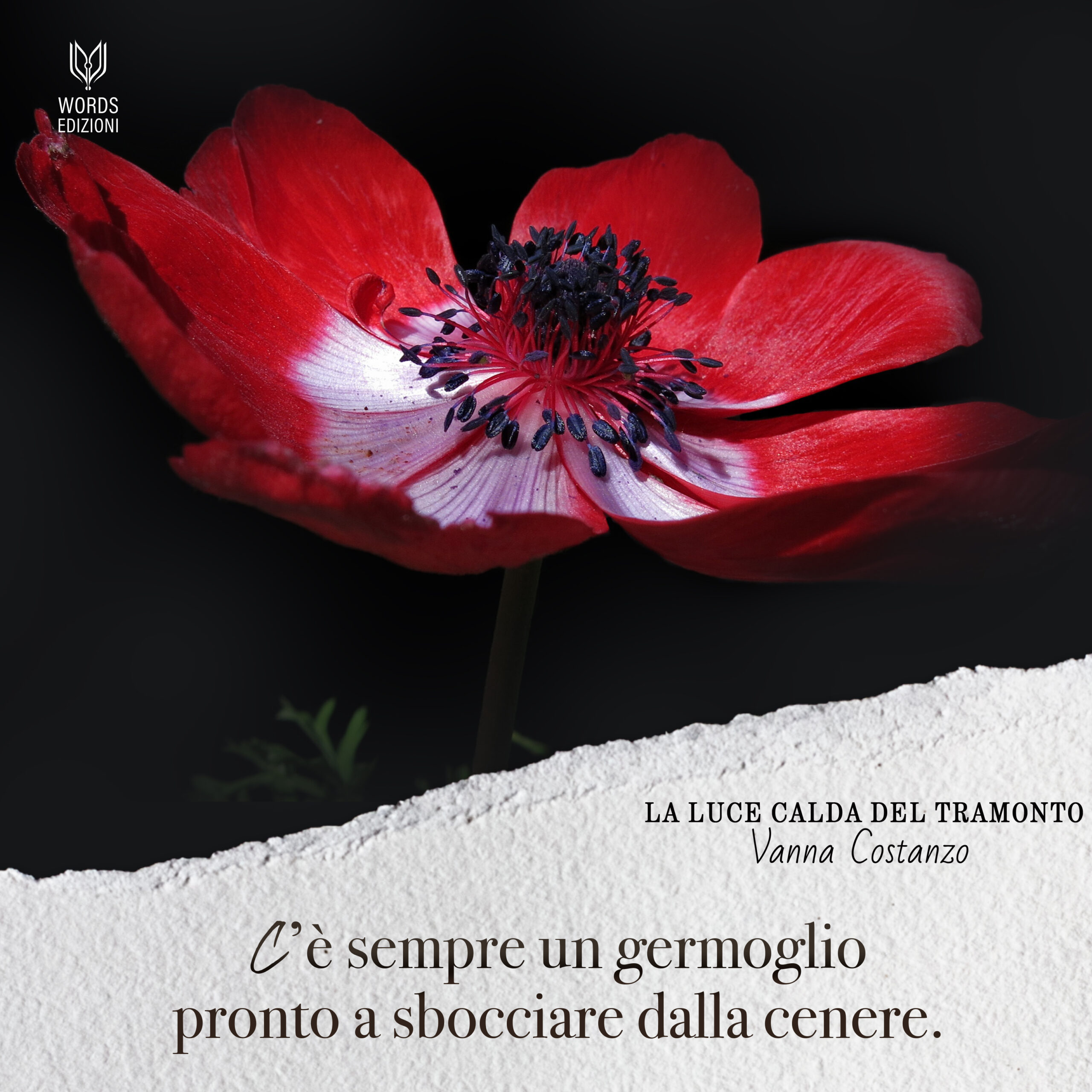 La luce calda del tramonto card
