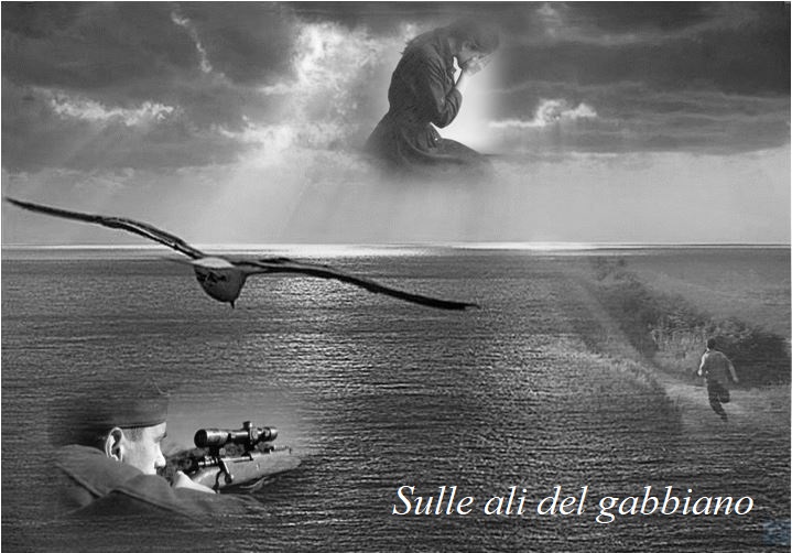 Teaser Sulle ali del gabbiano